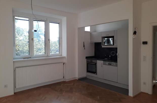 Terrassenwohnung mieten in 2340 Mödling (Bild 1)