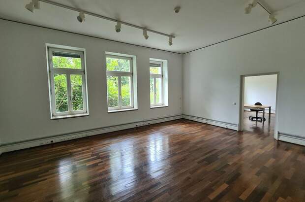 Gewerbeobjekt mieten in 1130 Wien (Bild 2)