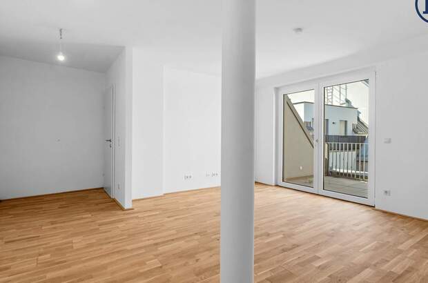 Terrassenwohnung kaufen in 1220 Wien (Bild 3)