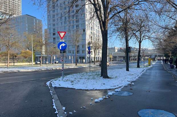 Haus mit Garten mieten in 1220 Wien (Bild 5)