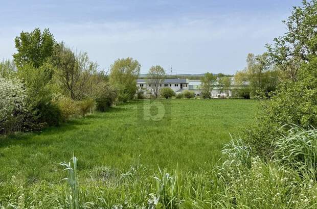 Grundstück kaufen in 7032 Sigleß (Bild 2)