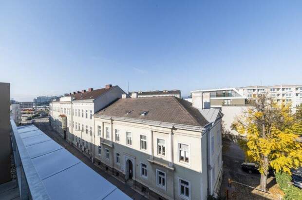 Terrassenwohnung kaufen in 2700 Wr. Neustadt (Bild 3)
