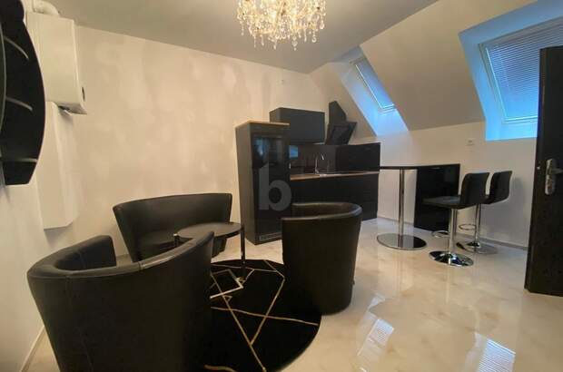 Mietwohnung in 1190 Wien (Bild 1)