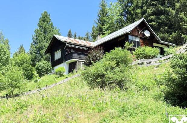 Haus kaufen in 9861 Eisentratten (Bild 1)
