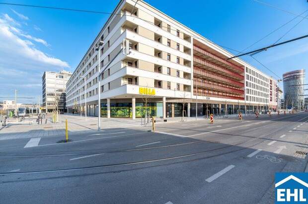 Terrassenwohnung mieten in 8020 Graz (Bild 1)