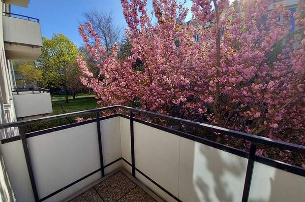 Wohnung mit Balkon kaufen in 1110 Wien (Bild 5)