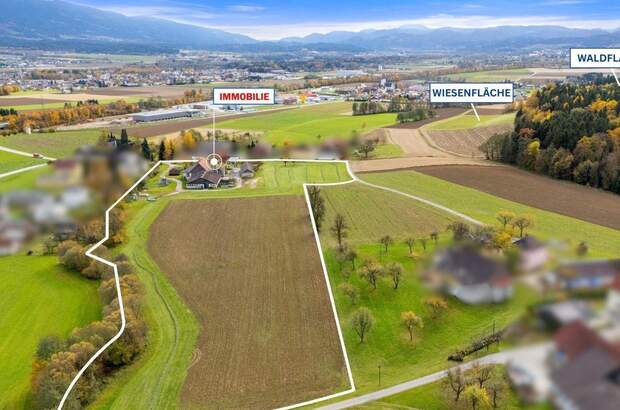 Gewerbeobjekt kaufen in 9431 Reinfelsdorf (Bild 1)