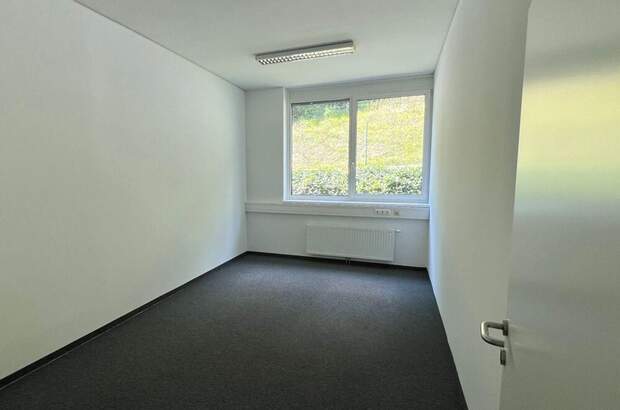 Gewerbeobjekt mieten in 8054 Graz (Bild 2)