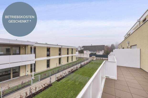 Terrassenwohnung kaufen in 2540 Bad Vöslau (Bild 1)