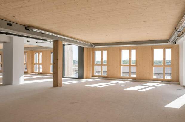 Gewerbeobjekt mieten in 1220 Wien (Bild 3)