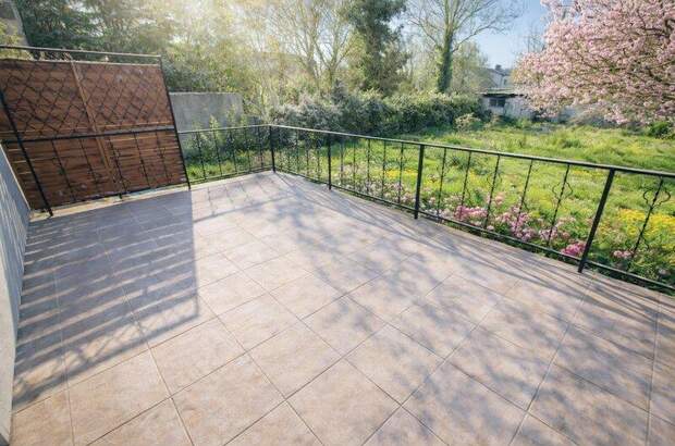 Einfamilienhaus kaufen in 2301 Groß (Bild 3)