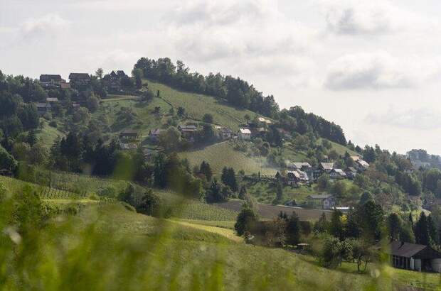 Ferienhaus kaufen in 8551 Wies (Bild 4)