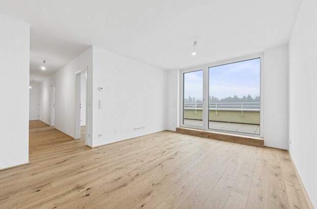 Terrassenwohnung kaufen in 2540 Bad Vöslau (Bild 3)
