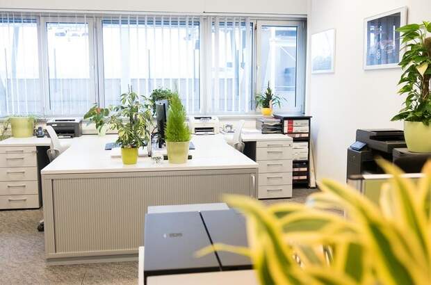 Büro / Praxis mieten in 8041 Graz (Bild 1)