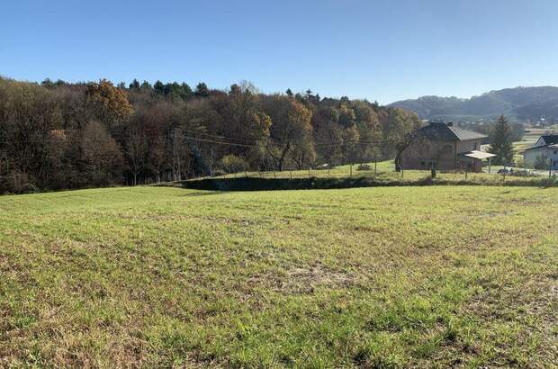 Grundstück kaufen in 8380 Jennersdorf (Bild 2)