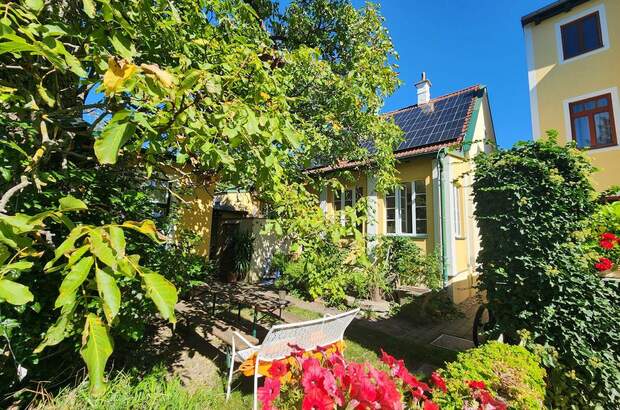 Altbauwohnung mieten in 2380 Perchtoldsdorf (Bild 3)