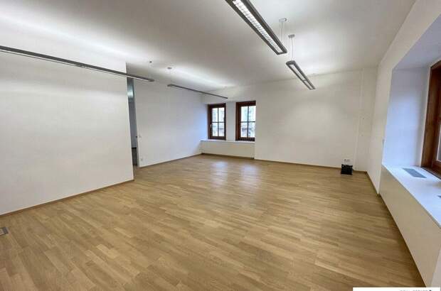 Gewerbeobjekt mieten in 1010 Wien (Bild 3)