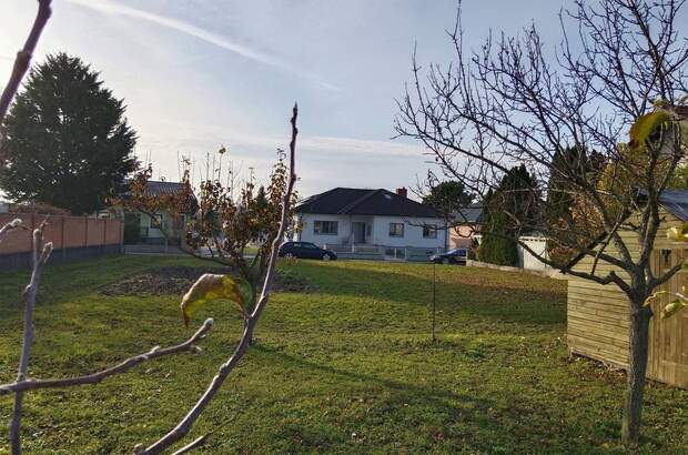 Grundstück kaufen in 7121 Weiden (Bild 5)