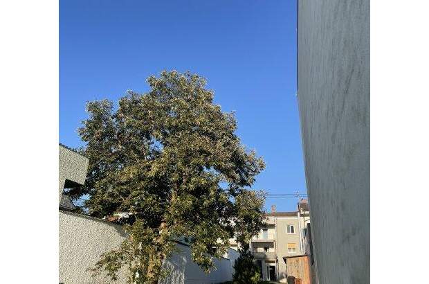 Terrassenwohnung mieten in 5230 Mattighofen (Bild 2)