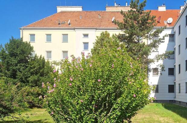 Wohnung kaufen in 2320 Schwechat (Bild 1)