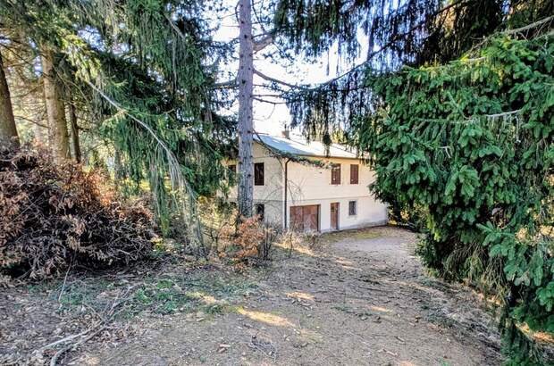 Haus kaufen in 3012 Wolfsgraben (Bild 2)