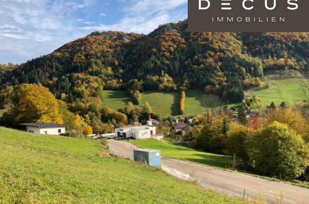 Grundstück kaufen in 3211 Loich (Bild 2)