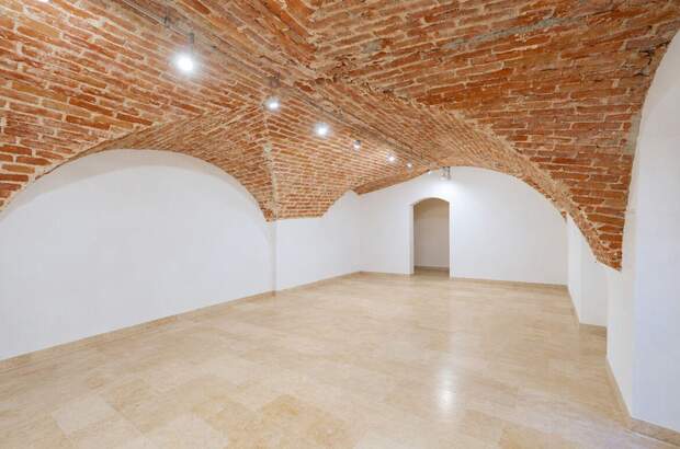 Gewerbeobjekt mieten in 2340 Mödling (Bild 1)