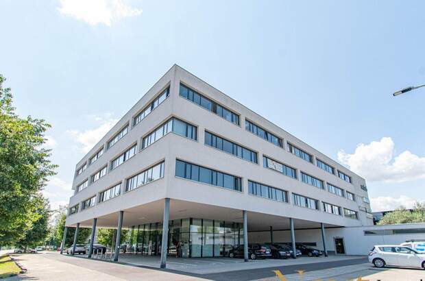 Gewerbeobjekt mieten in 4600 Wels (Bild 2)