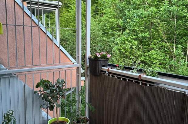 Terrassenwohnung mieten in 3021 Pressbaum (Bild 2)