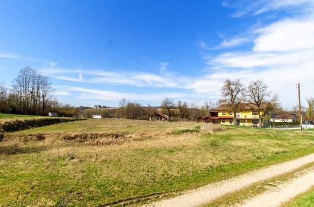 Gewerbeobjekt kaufen in 4631 Krenglbach (Bild 2)