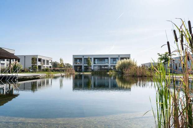 Haus kaufen in 7361 Lutzmannsburg (Bild 4)