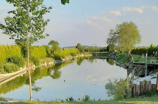 Gewerbeobjekt kaufen in 7064 Oslip (Bild 1)