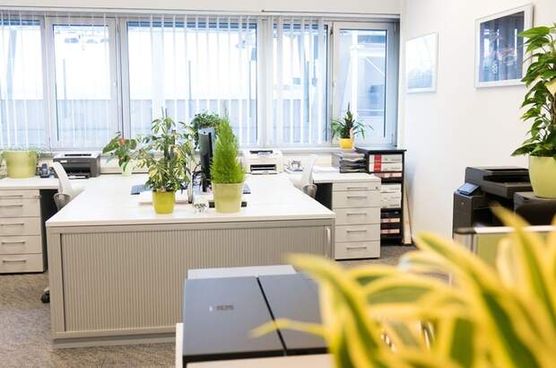 Gewerbeobjekt mieten in 8041 Graz (Bild 1)