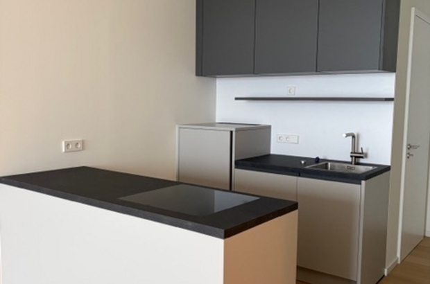 Mietwohnung in 1020 Wien (Bild 1)