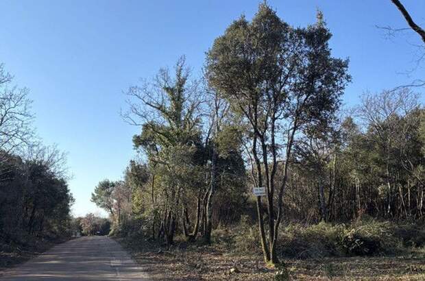 Gewerbeobjekt kaufen in 52208 Kavran (Bild 3)