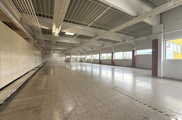 Gewerbeobjekt mieten in 2620 Neunkirchen (Bild 5)