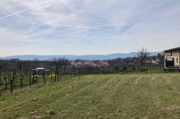 Grundstück kaufen in 3500 Gneixendorf (Bild 2)