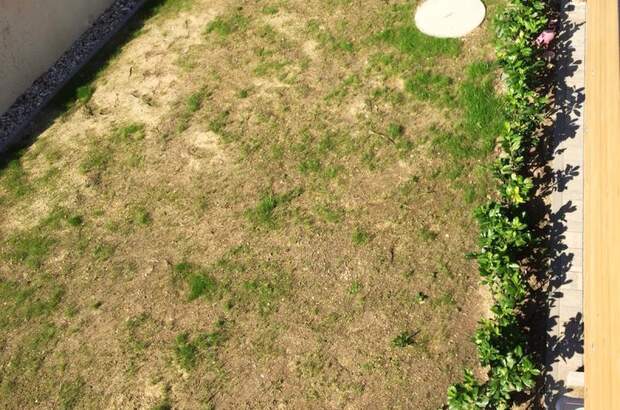 Wohnanlage kaufen in 8280 Fürstenfeld (Bild 5)