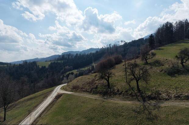 Gewerbeobjekt kaufen in 8184 Anger (Bild 3)