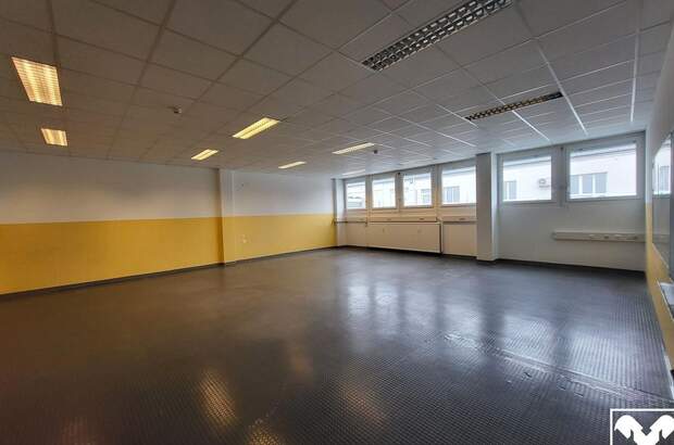Gewerbeobjekt mieten in 4050 Traun (Bild 1)