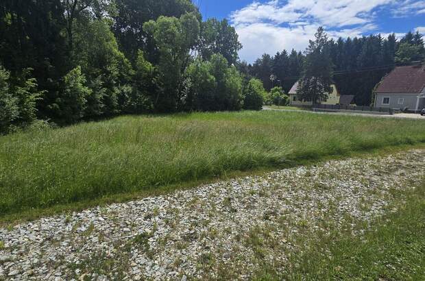 Grundstück kaufen in 8292 Neudau (Bild 5)
