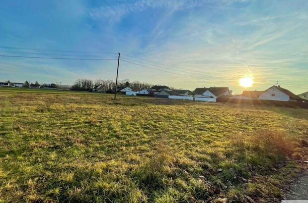 Grundstück kaufen in 4614 Marchtrenk (Bild 4)