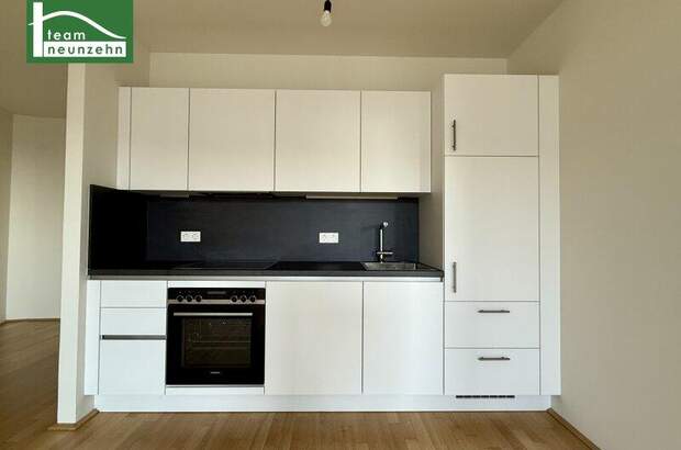 Terrassenwohnung mieten in 1100 Wien (Bild 2)