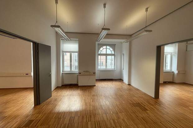 Gewerbeobjekt mieten in 1190 Wien (Bild 4)