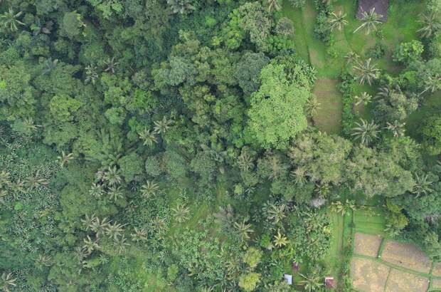 Grundstück kaufen in 80572 Puhu (Bild 5)