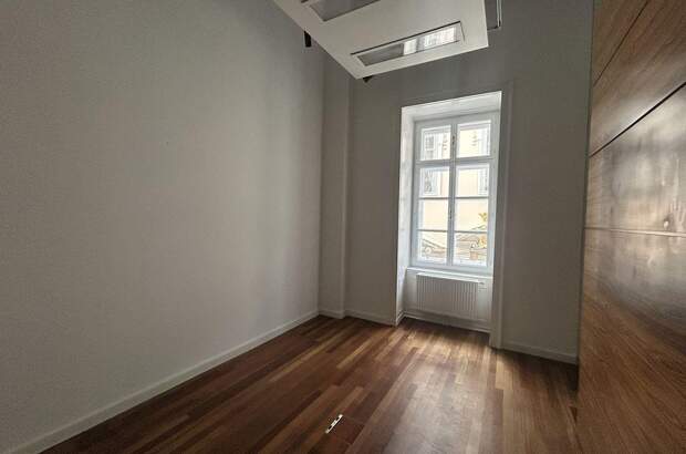 Gewerbeobjekt mieten in 1010 Wien (Bild 5)