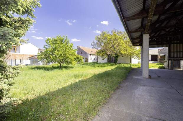 Gewerbeobjekt kaufen in 2431 Enzersdorf (Bild 4)