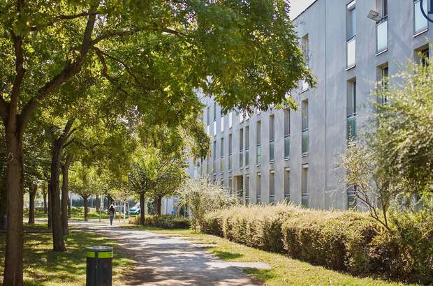 Terrassenwohnung mieten in 1220 Wien (Bild 1)
