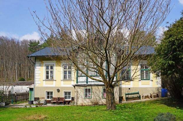 Haus kaufen in 3011 Purkersdorf (Bild 4)