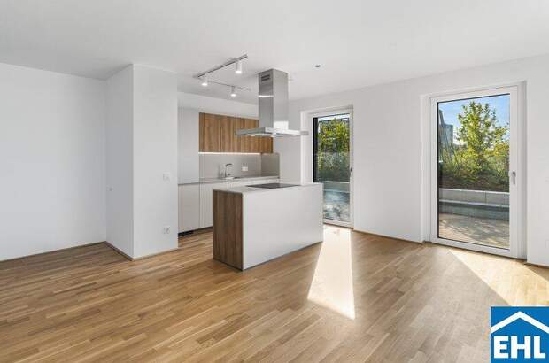 Terrassenwohnung mieten in 1200 Wien (Bild 1)